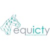 Equicty