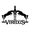 Veredus