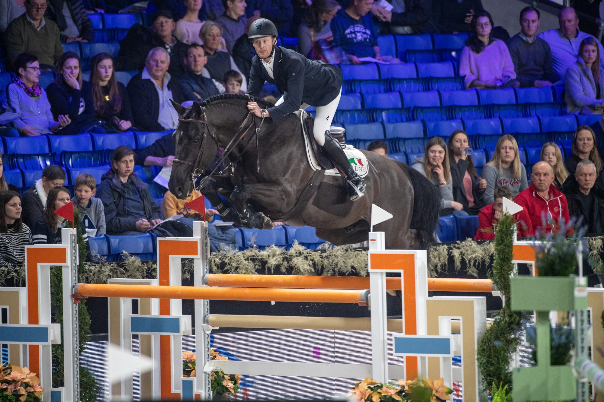 Flanders Horse Expo in Gent