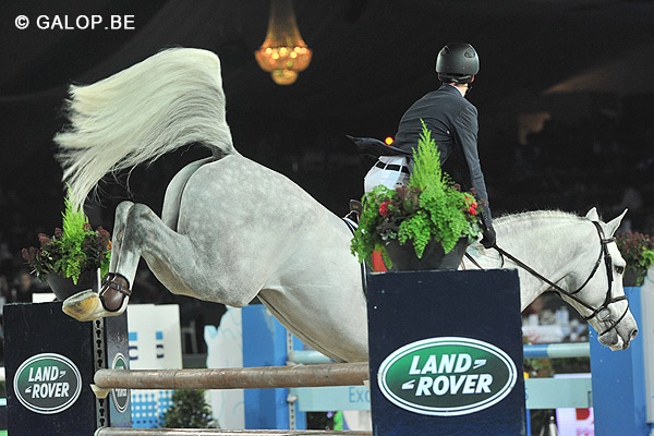 Niels & Castelino vd Helle - Sires of the World Mechelen 2011